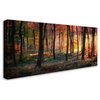 Photokes 'Autumn Woodland Sunrise' Canvas Art, 24x12