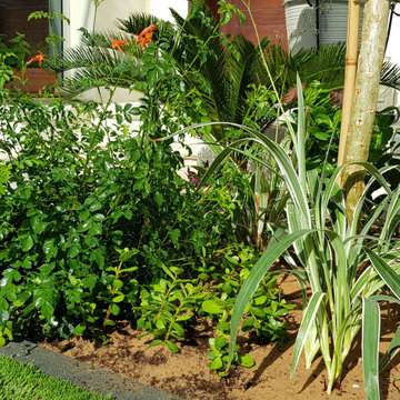 Sustainable City- Planting Design