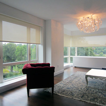 Screen shades and Central Park views