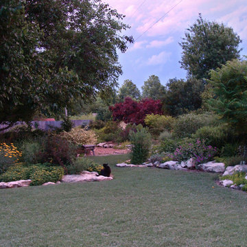 Low Maintenance Buffalo grass lawn with prairie style landscape