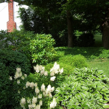 Foundation planting
