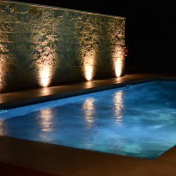 Contemporary in the Woods