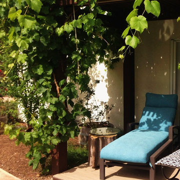 Trex Deck & Grape Arbor
