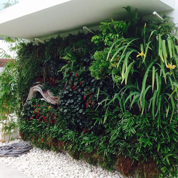 Vertical Gardens