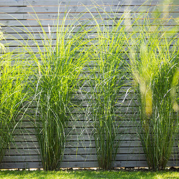 Privatgarten in Korschenbroich