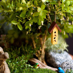 Lush Little Landscapes - 商品
