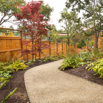 Japanese Maple + Astilbe Side Yard