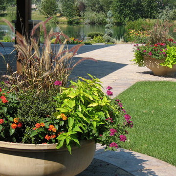 Summer Container Planting