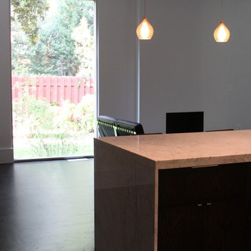 Buckhead Modern Home Remodel
