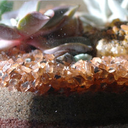 Micro-Gardens - Products