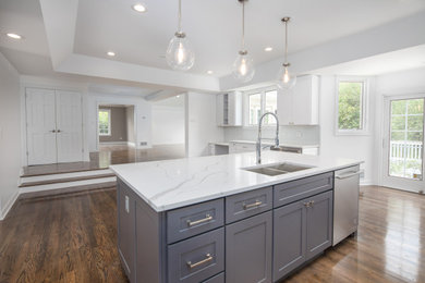 Inspiration for a kitchen remodel in Chicago