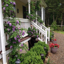 Our Garden