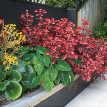 Subtropical courtyard