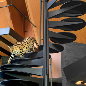 Houzz Tour: Wild Cats