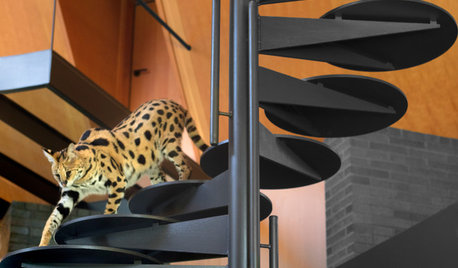 Oklahoma Houzz Tour: Wild Cats Roam This New Prairie-Style Home