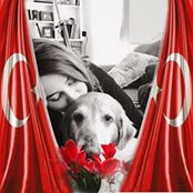 Buse Yuksel's photo
