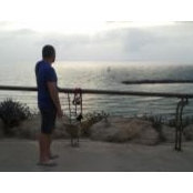 Tamir Greenberg's photo