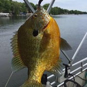 Brad Hagfors's photo