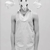 Diego Filippi's photo