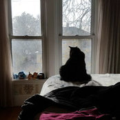 Christina Speers's photo