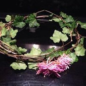 Diane Eden Fee's photo
