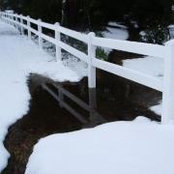 Tammy Roshto's photo