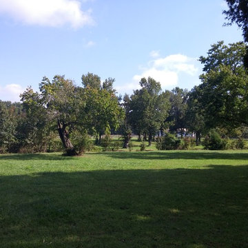 Mature hardwoods Surrounding Farm at 307 Bacon RD Rougemount NC Exquisite Horse