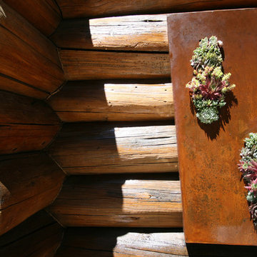 High Desert Hardy Succulents