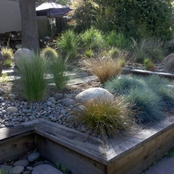 Drought Tolerant Landscaping
