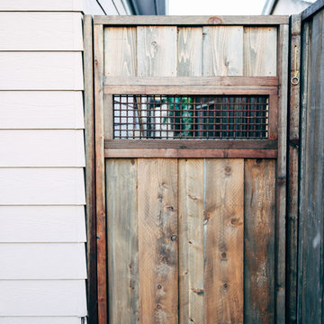 North Park Craftsman Xeriscape