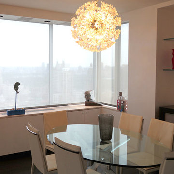 Motorized Lutron Screen Shades