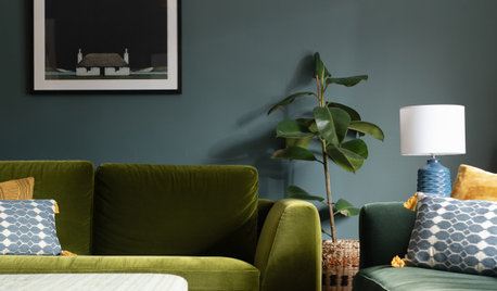 Houzz Tour: A Blank Canvas Home is Drenched in Colour and Warmth