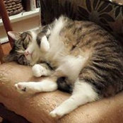 Molly Kalifut's photo