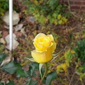 Debi Wipf Schroeder's photo