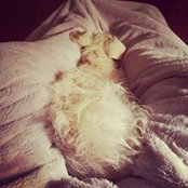 Marcel Pariseau's photo