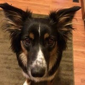 Jill Piechowski's photo