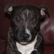 Scott Bryant's photo