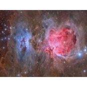Carmen Dimmett's photo