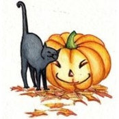 Heather Cole's photo