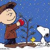 Trish Boser Johnson's photo