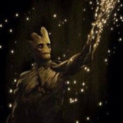 Lyn De Groote's photo