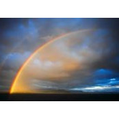 Tara DeWeese's photo