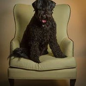 Eric Gastineau's photo