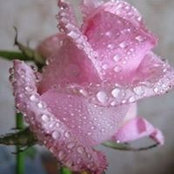 Ани Рал's photo