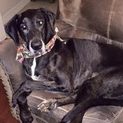 Becky Eiane's photo