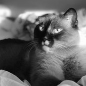 Alicia D.'s photo