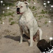 Foto von Lorey Gillam