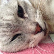 Yukiko Nonaka's photo