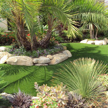 front yard