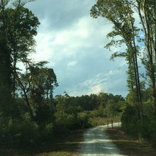 Allgood Acres Ranch - Progress